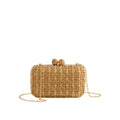 Sydney Minaudiere Bag