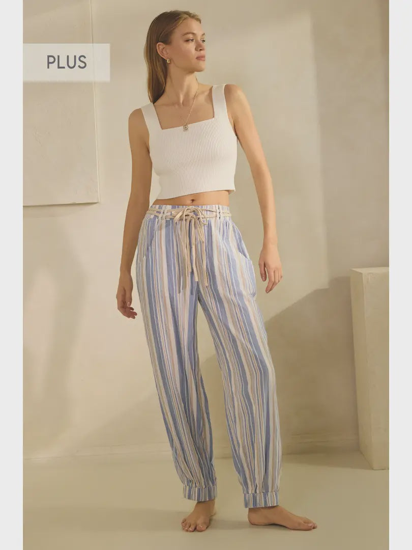 Curvy Blue Striped Pants