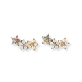 Floral Climber Earrings
