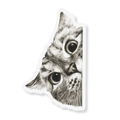 Peeking Cat Sticker